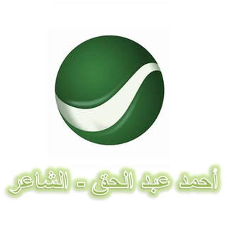 Ahmad Abdel Hak