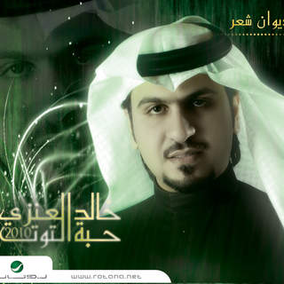 Khaled Anisi