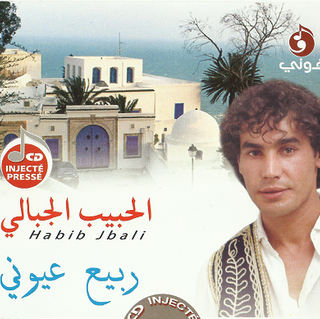 Rabii Oyouni