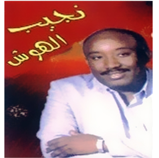 Nagib El Hosh