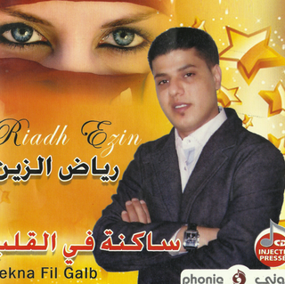 Sekna Fil Galb