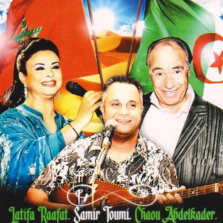 Samir Toumi