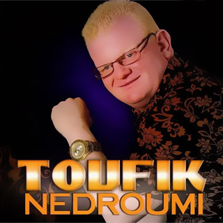 Toufik Nedroumi