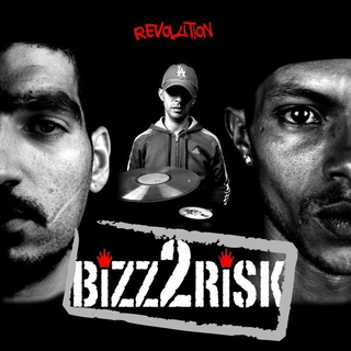 Bizz2Risk