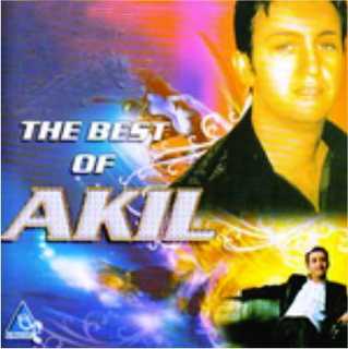The Best Of Akil