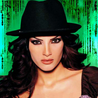 Dina Hayek Collection