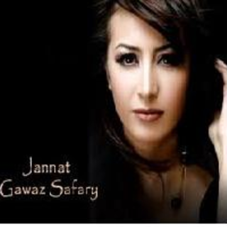 Gawaz Safary