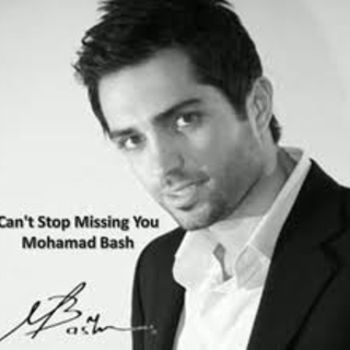 Can T Stop Missing You