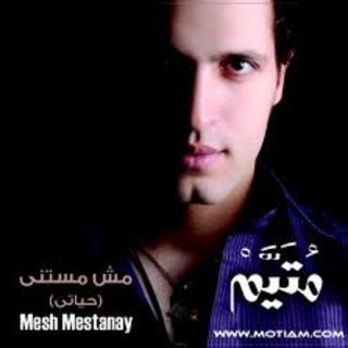 Mesh Mestany