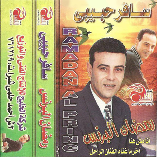 Safeer Habibi
