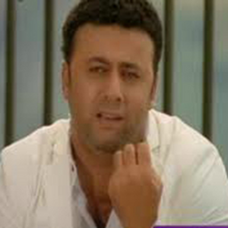 Sobhi Tawfiq Collection