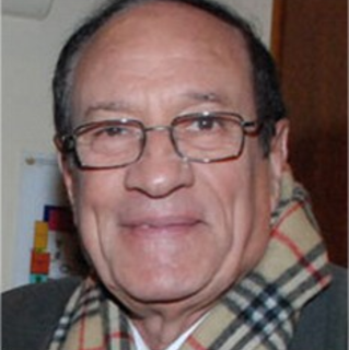 El Tokl Sanaa