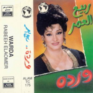 Rabeaa El Omr - El Mantek El Makloob