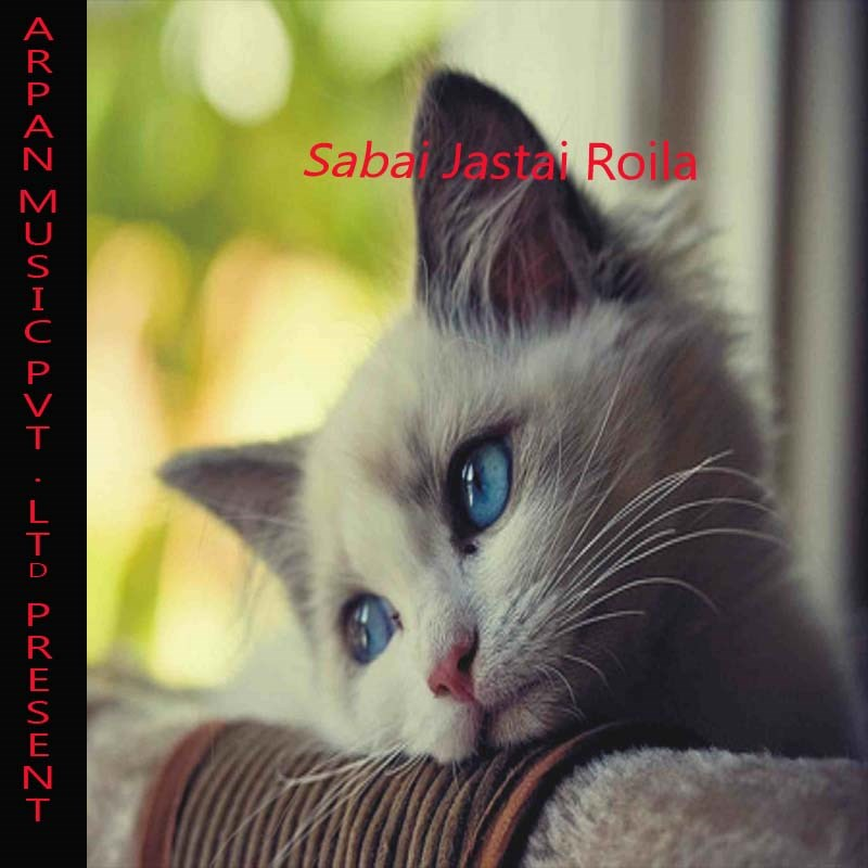 Sabai Jastai Roila