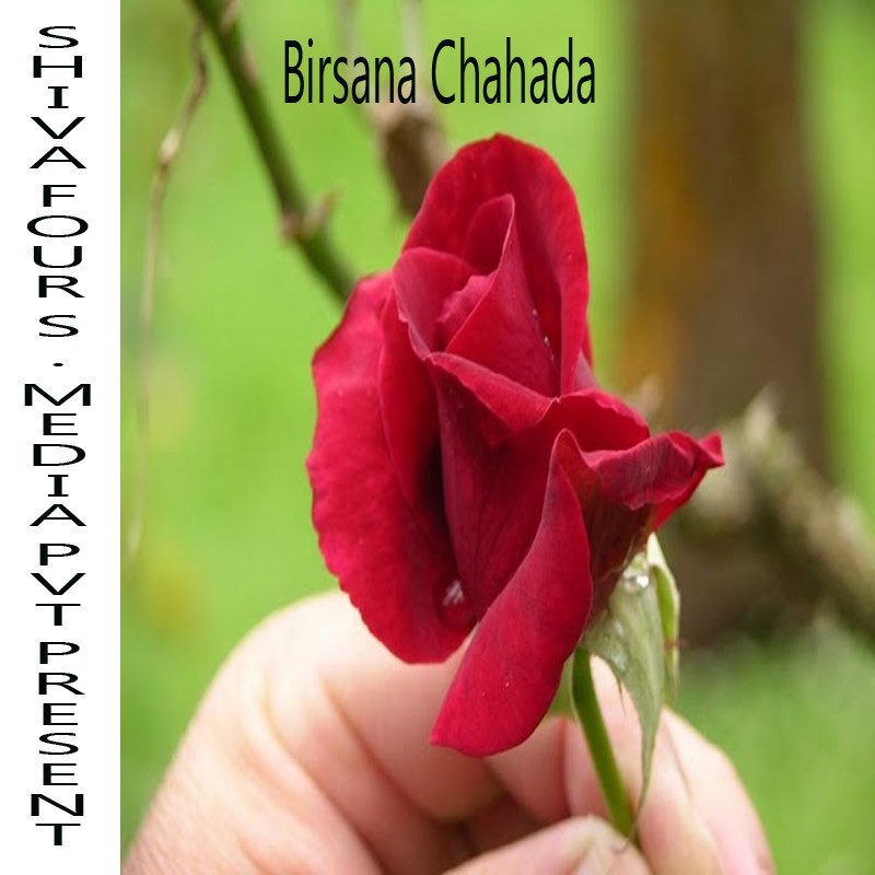 Birsana Chahada