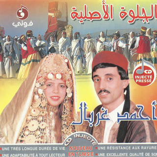 Ahmed Ghorbel