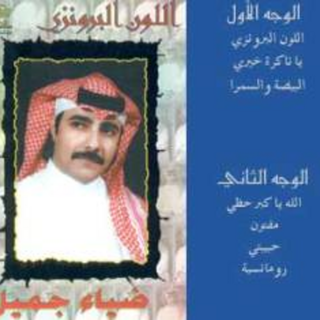 Diaa Jamil