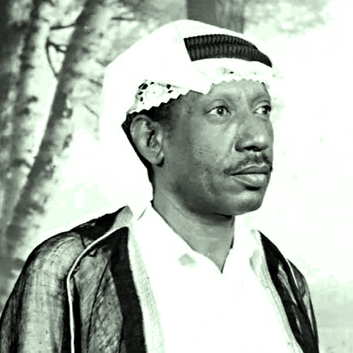 Malak Rouhi