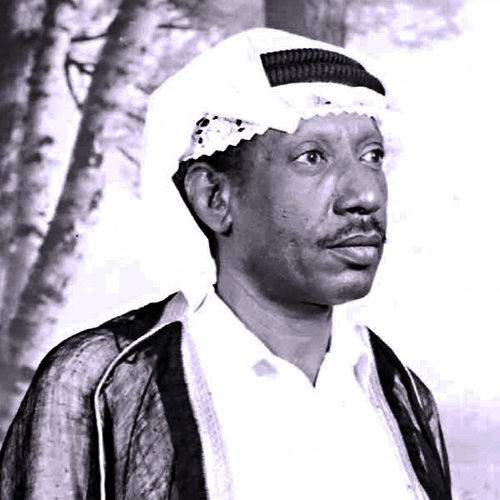 Shougi Zayed