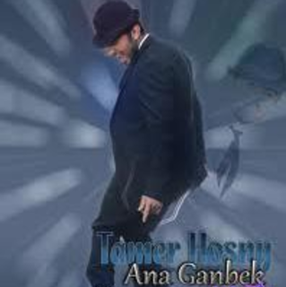 Ana Ganbak